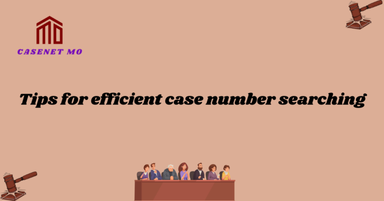 Tips for efficient case number searching 1
