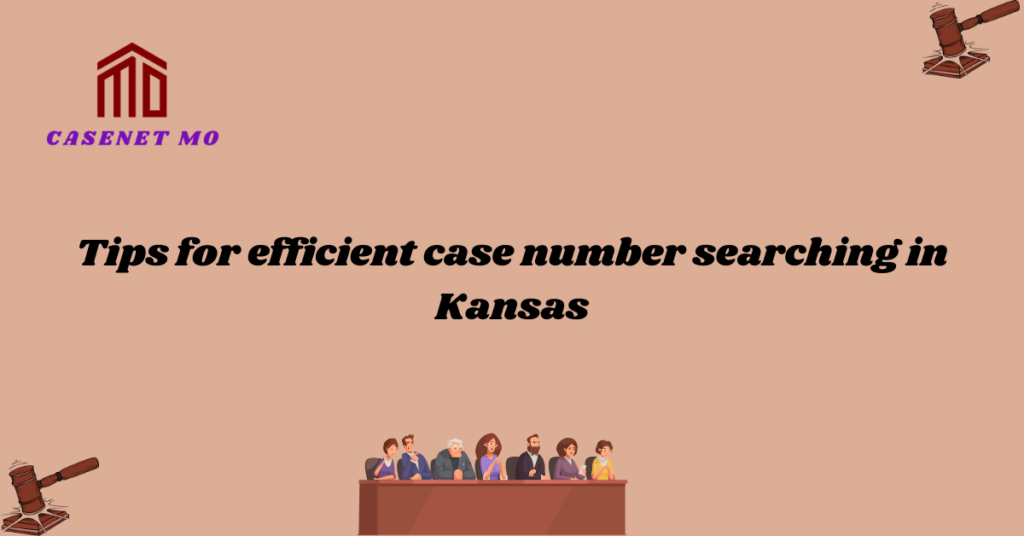 Tips for efficient case number searching in Kansas