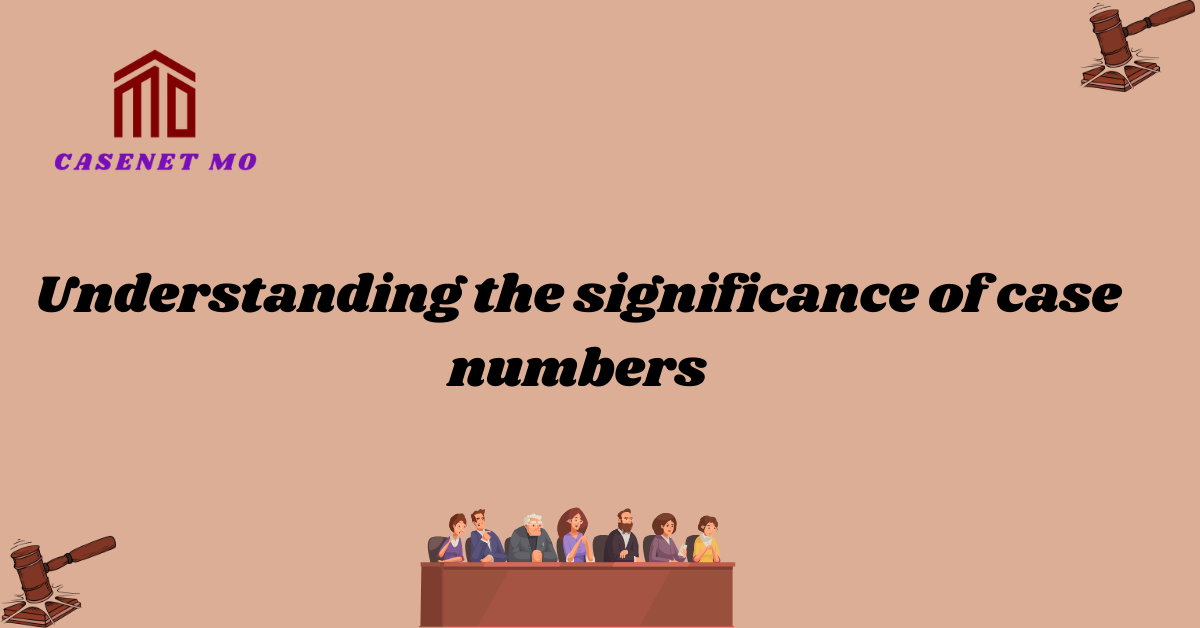 Understanding the significance of case numbers